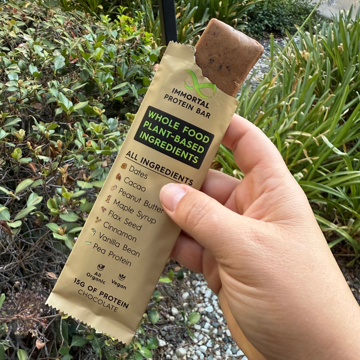 Vegan Protein Bars-(12 Pack)